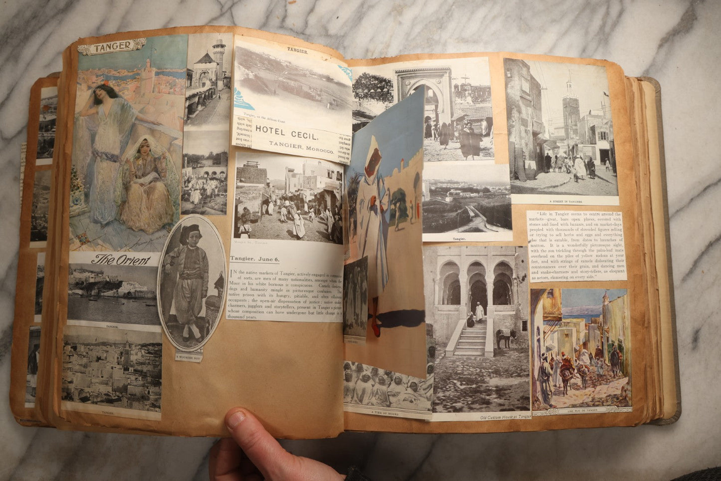 Lot 098 - Antique Scrapbook With Spain, Algeria, Greece, Syria, Italy, And Switzerland Travel Ephemera, Pressed Flowers And Botanical Specimens Throughout, Circa 1911