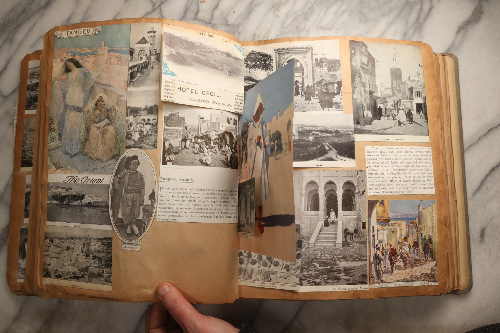 Lot 098 - Antique Scrapbook With Spain, Algeria, Greece, Syria, Italy, And Switzerland Travel Ephemera, Pressed Flowers And Botanical Specimens Throughout, Circa 1911