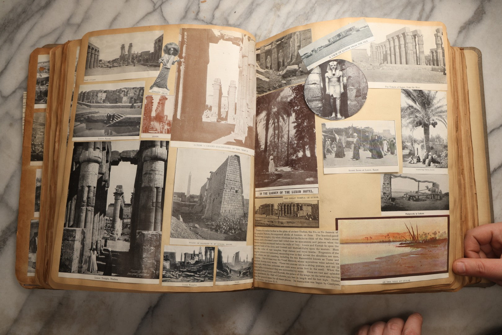 Lot 098 - Antique Scrapbook With Spain, Algeria, Greece, Syria, Italy, And Switzerland Travel Ephemera, Pressed Flowers And Botanical Specimens Throughout, Circa 1911