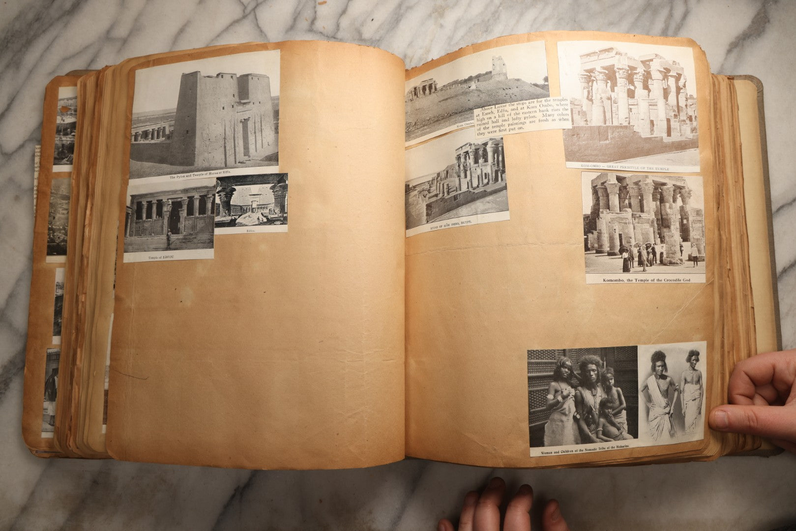 Lot 098 - Antique Scrapbook With Spain, Algeria, Greece, Syria, Italy, And Switzerland Travel Ephemera, Pressed Flowers And Botanical Specimens Throughout, Circa 1911