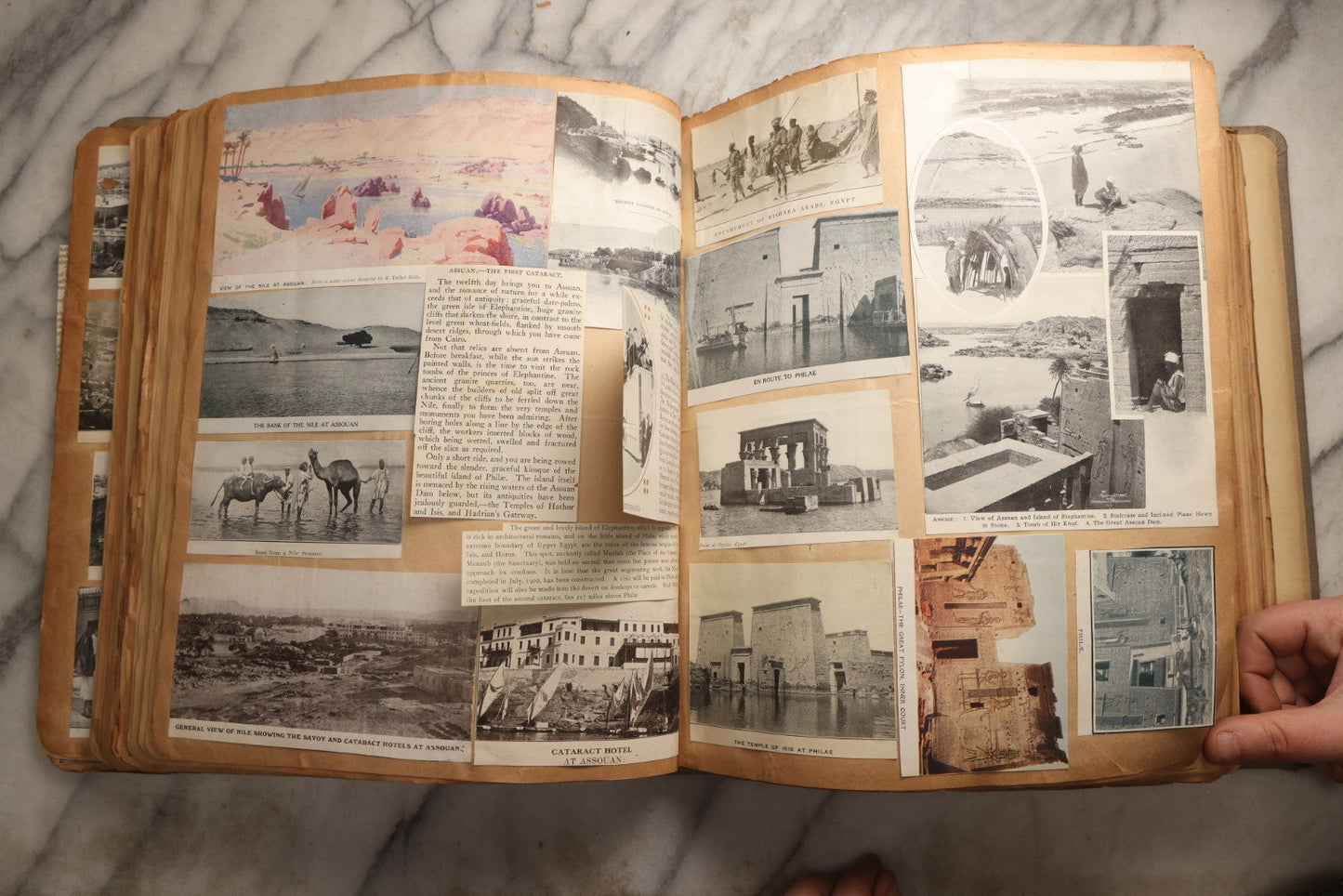 Lot 098 - Antique Scrapbook With Spain, Algeria, Greece, Syria, Italy, And Switzerland Travel Ephemera, Pressed Flowers And Botanical Specimens Throughout, Circa 1911