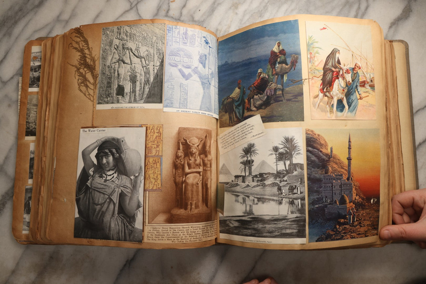 Lot 098 - Antique Scrapbook With Spain, Algeria, Greece, Syria, Italy, And Switzerland Travel Ephemera, Pressed Flowers And Botanical Specimens Throughout, Circa 1911