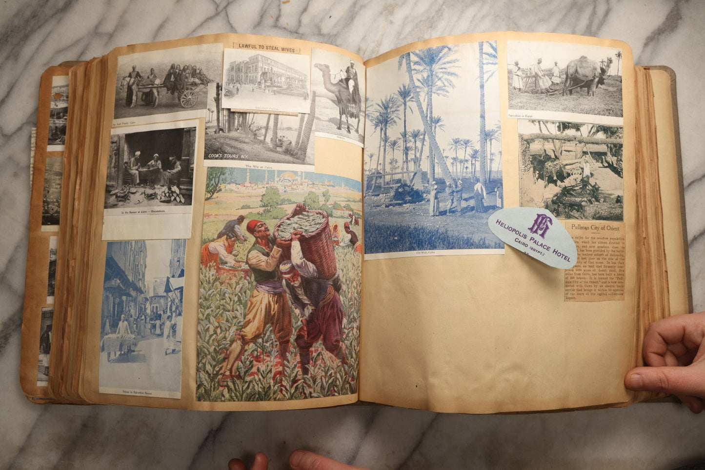 Lot 098 - Antique Scrapbook With Spain, Algeria, Greece, Syria, Italy, And Switzerland Travel Ephemera, Pressed Flowers And Botanical Specimens Throughout, Circa 1911