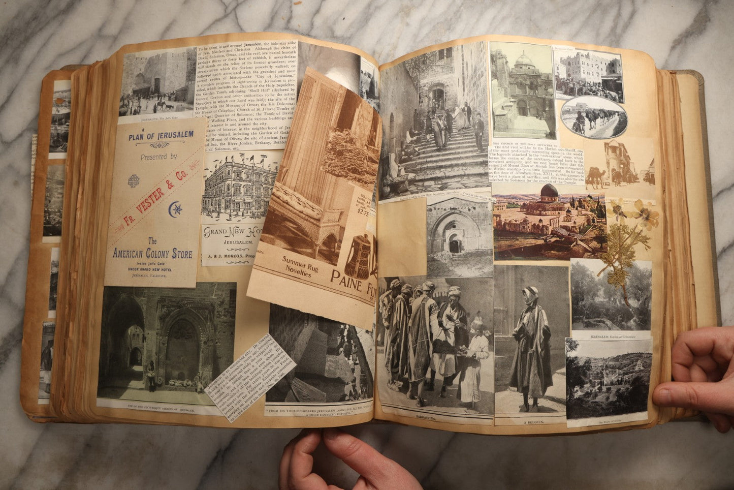 Lot 098 - Antique Scrapbook With Spain, Algeria, Greece, Syria, Italy, And Switzerland Travel Ephemera, Pressed Flowers And Botanical Specimens Throughout, Circa 1911