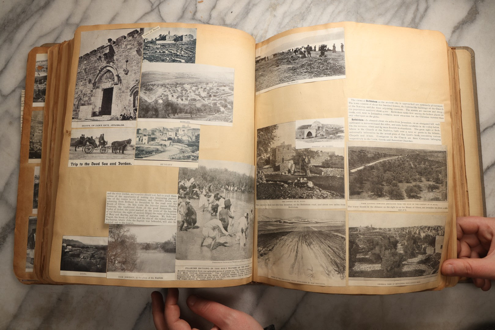 Lot 098 - Antique Scrapbook With Spain, Algeria, Greece, Syria, Italy, And Switzerland Travel Ephemera, Pressed Flowers And Botanical Specimens Throughout, Circa 1911