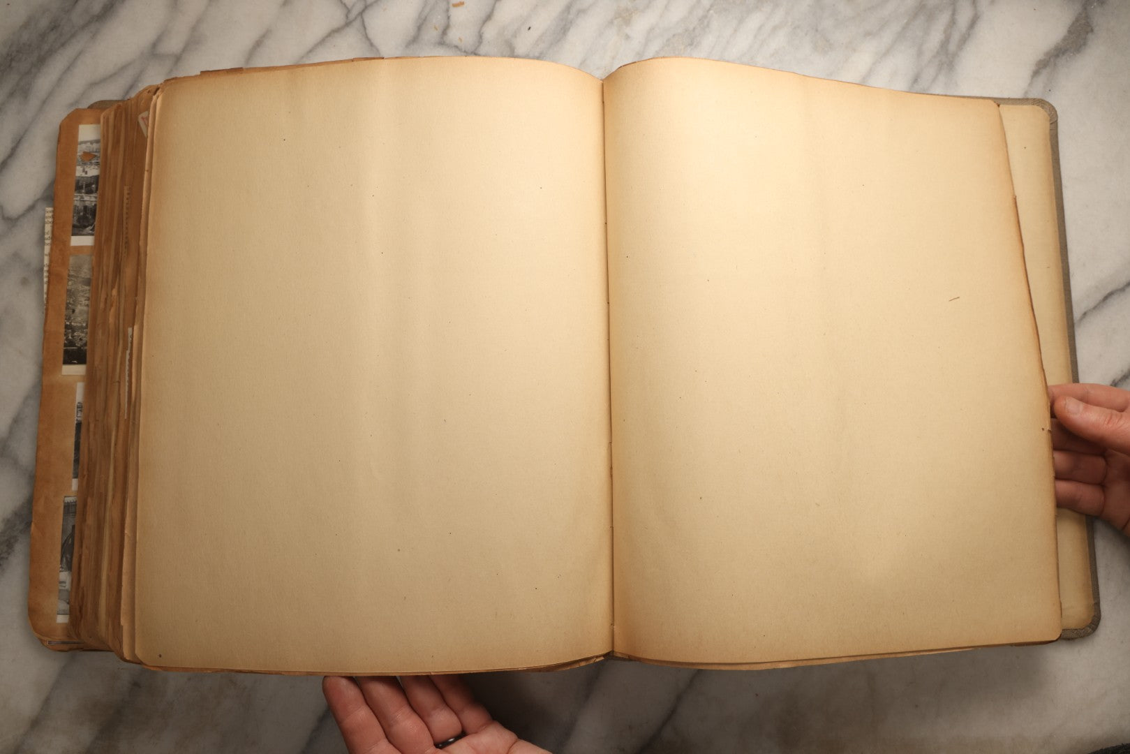 Lot 098 - Antique Scrapbook With Spain, Algeria, Greece, Syria, Italy, And Switzerland Travel Ephemera, Pressed Flowers And Botanical Specimens Throughout, Circa 1911