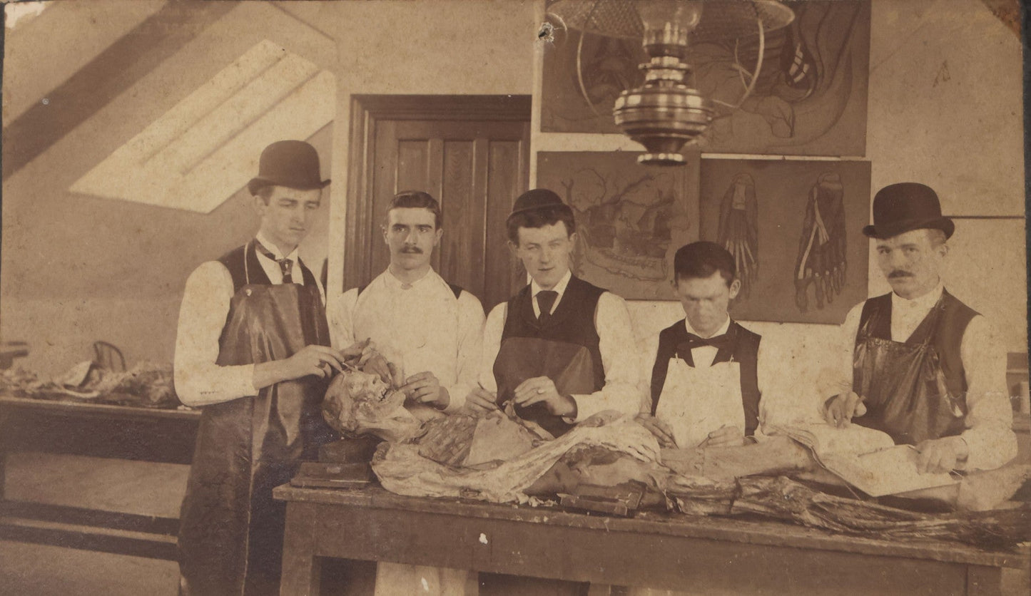 Lot 004 - Antique Boudoir-Sized Cabinet Card Photograph Of Medical Students With Dissection Table And Cadaver, Late 19th Century