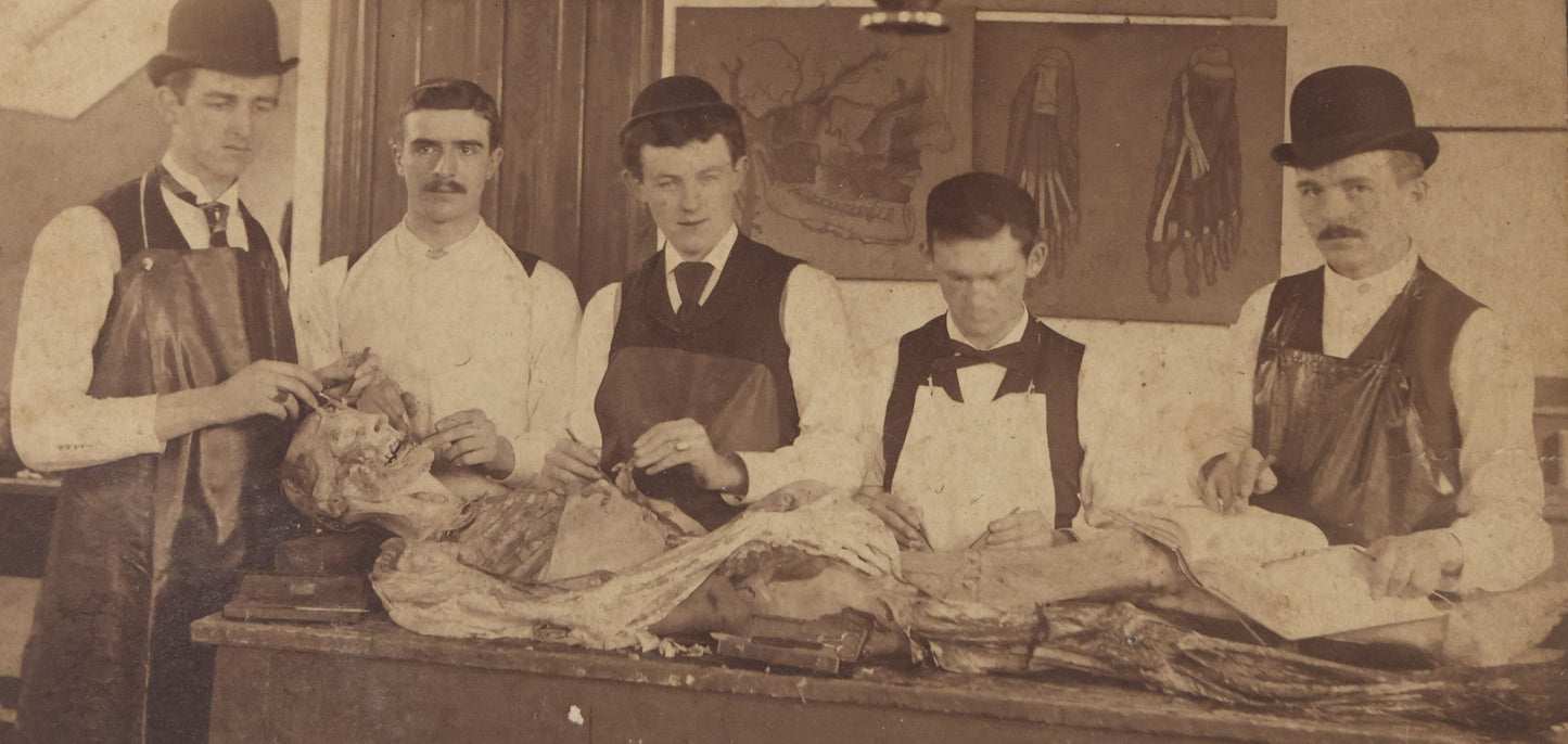 Lot 004 - Antique Boudoir-Sized Cabinet Card Photograph Of Medical Students With Dissection Table And Cadaver, Late 19th Century