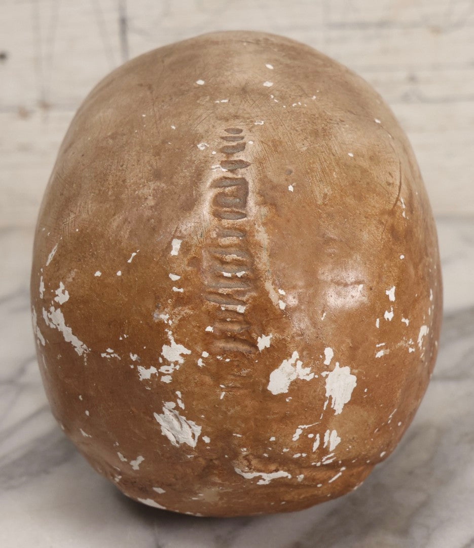 Lot 005 - Antique Chalkware Skull Form Anatomical Model Decorative Object