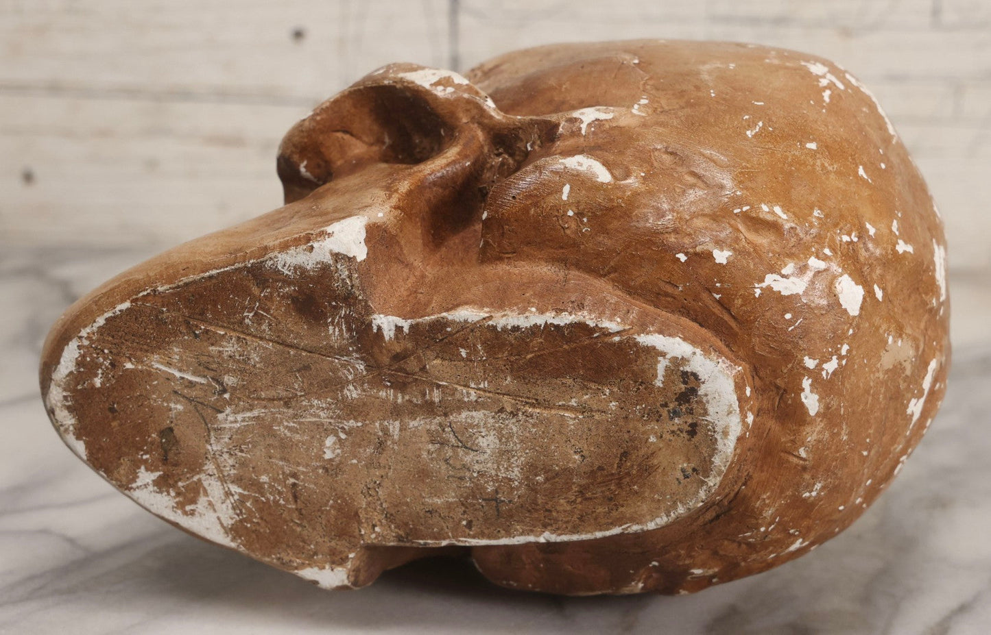 Lot 005 - Antique Chalkware Skull Form Anatomical Model Decorative Object