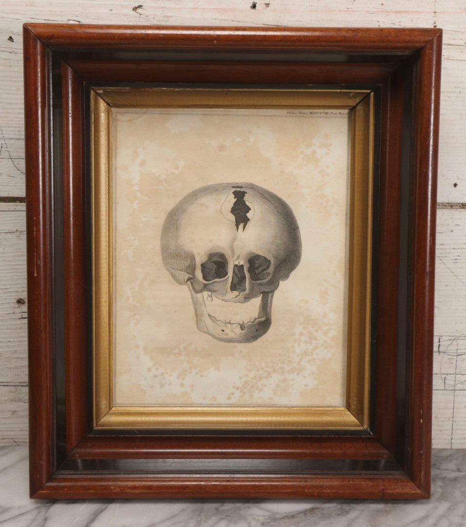 Lot 006 - Antique Anatomical Skull Engraving, Front View, Attributed To James Basire, From Philosophical Transactions, Plate II, Circa 1808