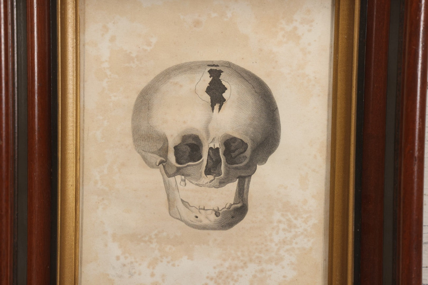 Lot 006 - Antique Anatomical Skull Engraving, Front View, Attributed To James Basire, From Philosophical Transactions, Plate II, Circa 1808