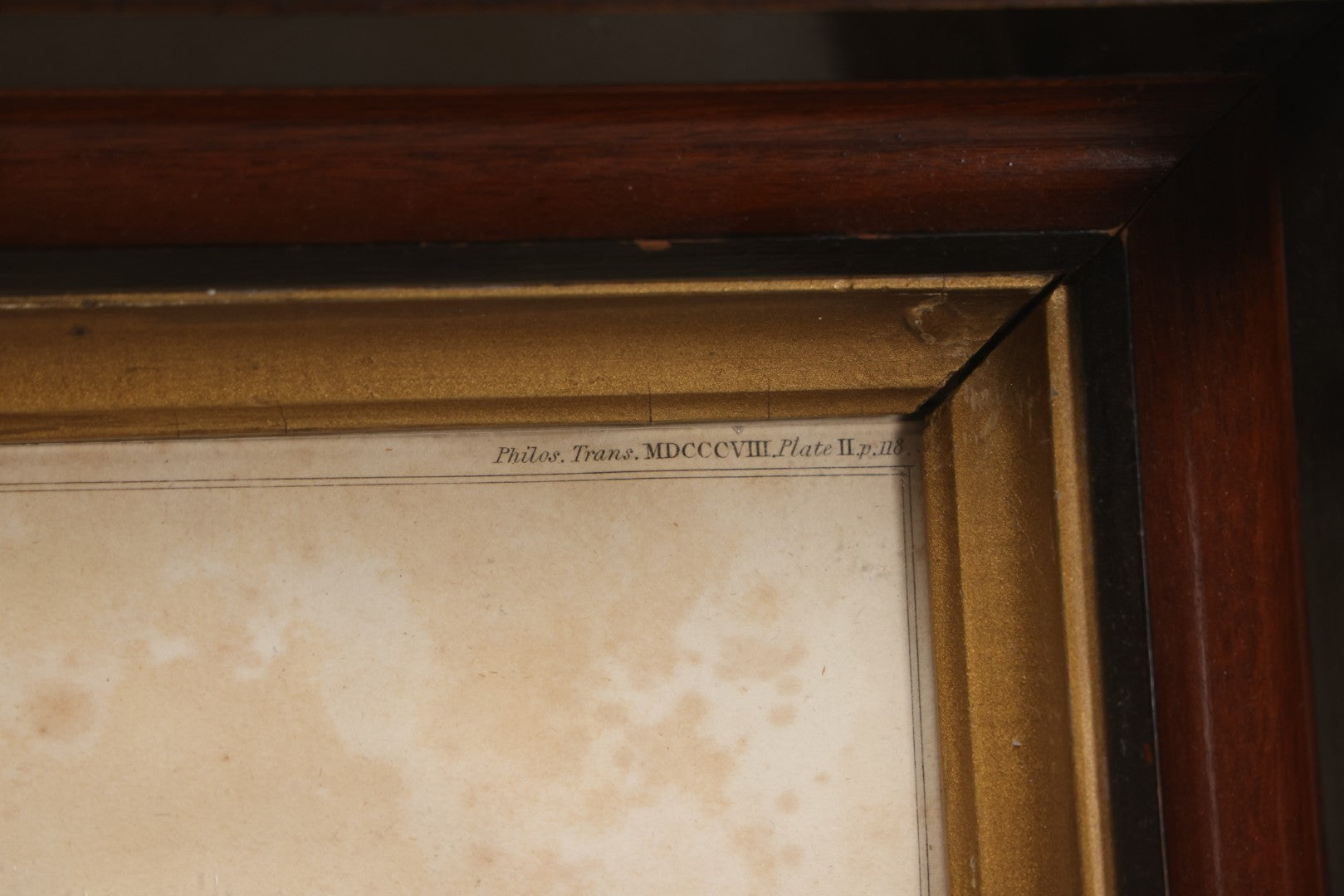 Lot 006 - Antique Anatomical Skull Engraving, Front View, Attributed To James Basire, From Philosophical Transactions, Plate II, Circa 1808