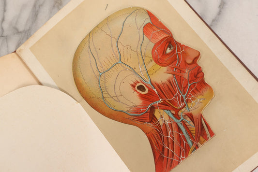 Lot 008 - "Portfolio Of Life; Or, A Popular Study Of The House In Which We Live" Antique Physiology Book By Prof. Henry H. Rassweiler, Illustrated With Anatomical Plates And Manikins, Published By Pacific Publishing Co.