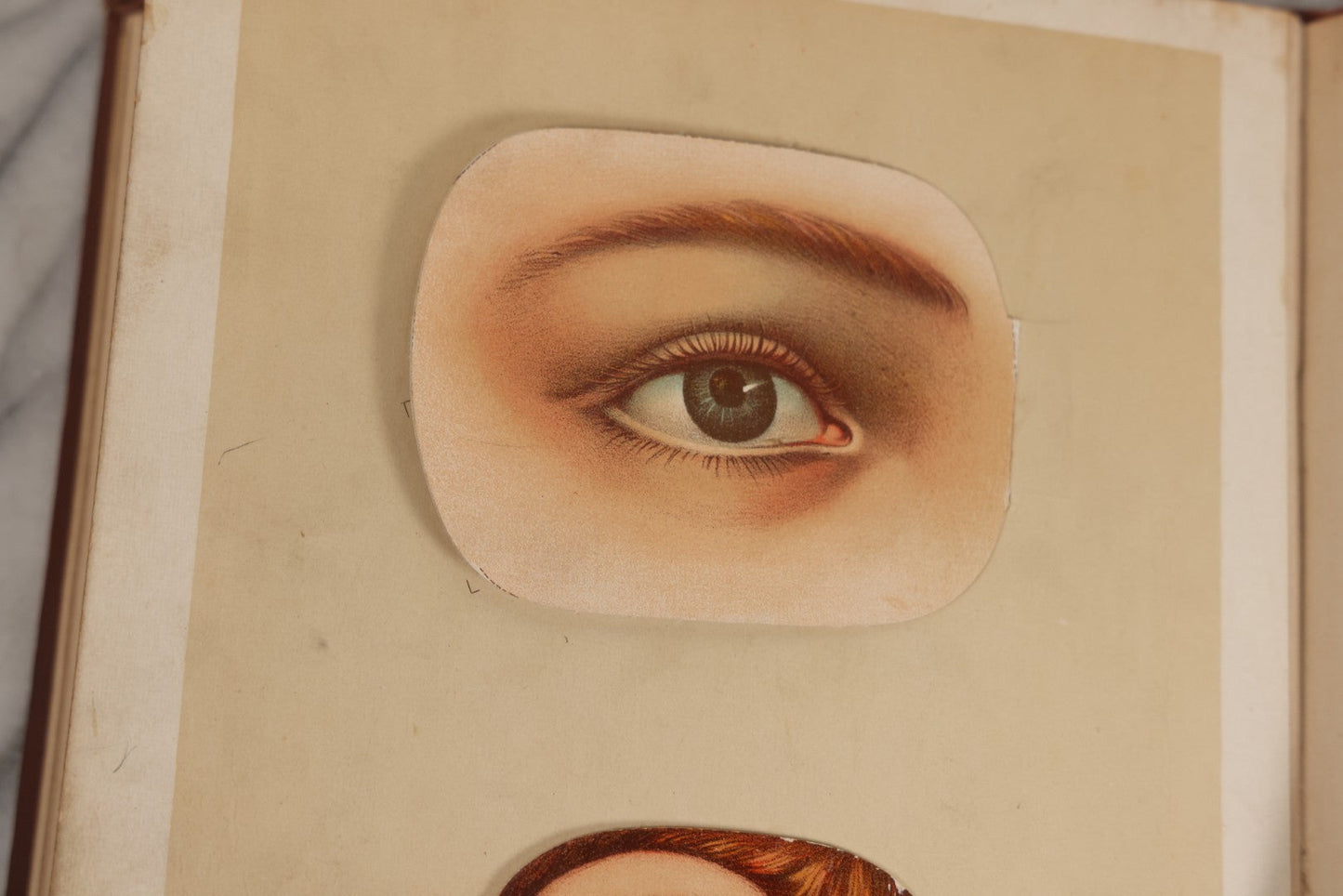 Lot 008 - "Portfolio Of Life; Or, A Popular Study Of The House In Which We Live" Antique Physiology Book By Prof. Henry H. Rassweiler, Illustrated With Anatomical Plates And Manikins, Published By Pacific Publishing Co.