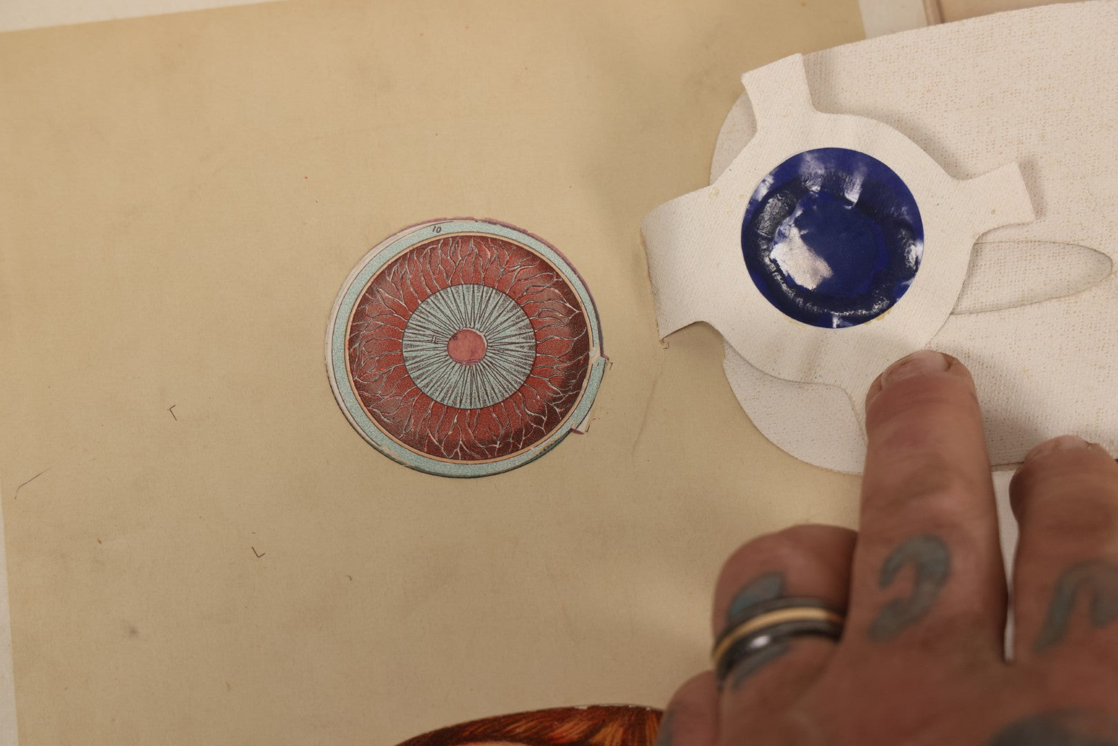 Lot 008 - "Portfolio Of Life; Or, A Popular Study Of The House In Which We Live" Antique Physiology Book By Prof. Henry H. Rassweiler, Illustrated With Anatomical Plates And Manikins, Published By Pacific Publishing Co.