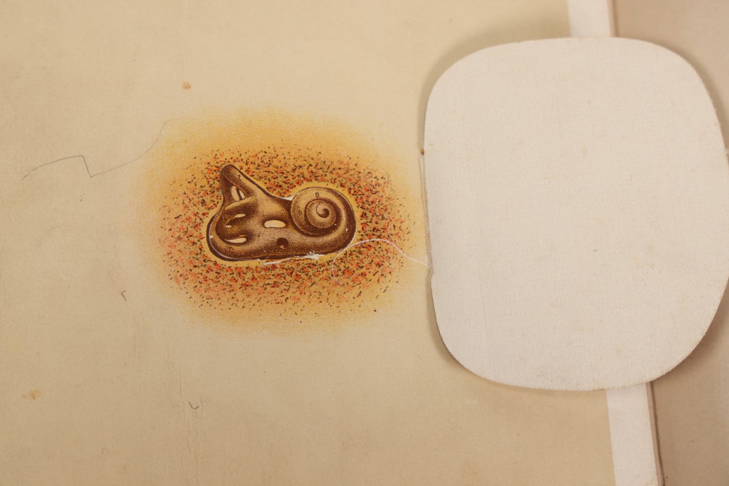 Lot 008 - "Portfolio Of Life; Or, A Popular Study Of The House In Which We Live" Antique Physiology Book By Prof. Henry H. Rassweiler, Illustrated With Anatomical Plates And Manikins, Published By Pacific Publishing Co.