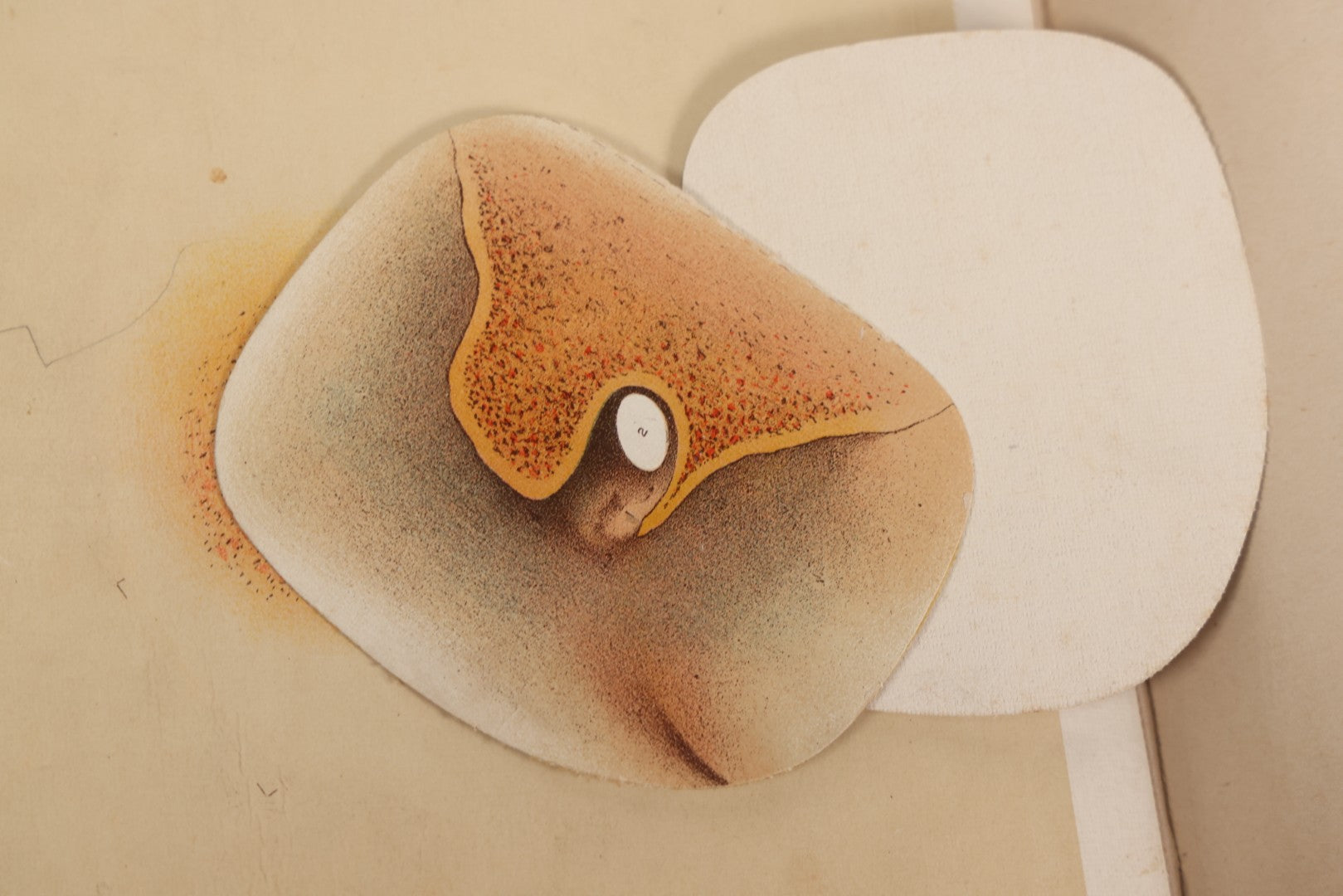 Lot 008 - "Portfolio Of Life; Or, A Popular Study Of The House In Which We Live" Antique Physiology Book By Prof. Henry H. Rassweiler, Illustrated With Anatomical Plates And Manikins, Published By Pacific Publishing Co.