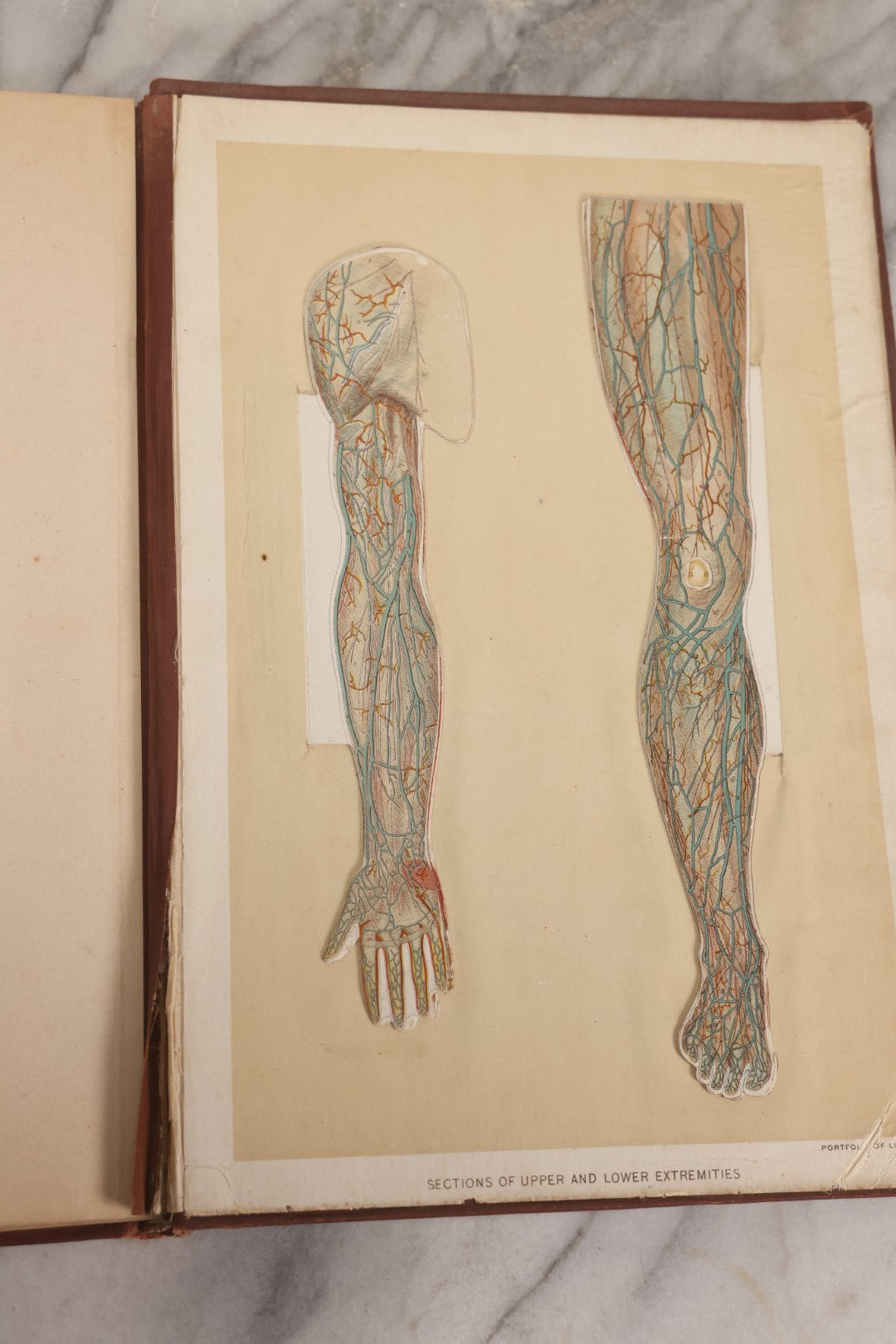 Lot 008 - "Portfolio Of Life; Or, A Popular Study Of The House In Which We Live" Antique Physiology Book By Prof. Henry H. Rassweiler, Illustrated With Anatomical Plates And Manikins, Published By Pacific Publishing Co.