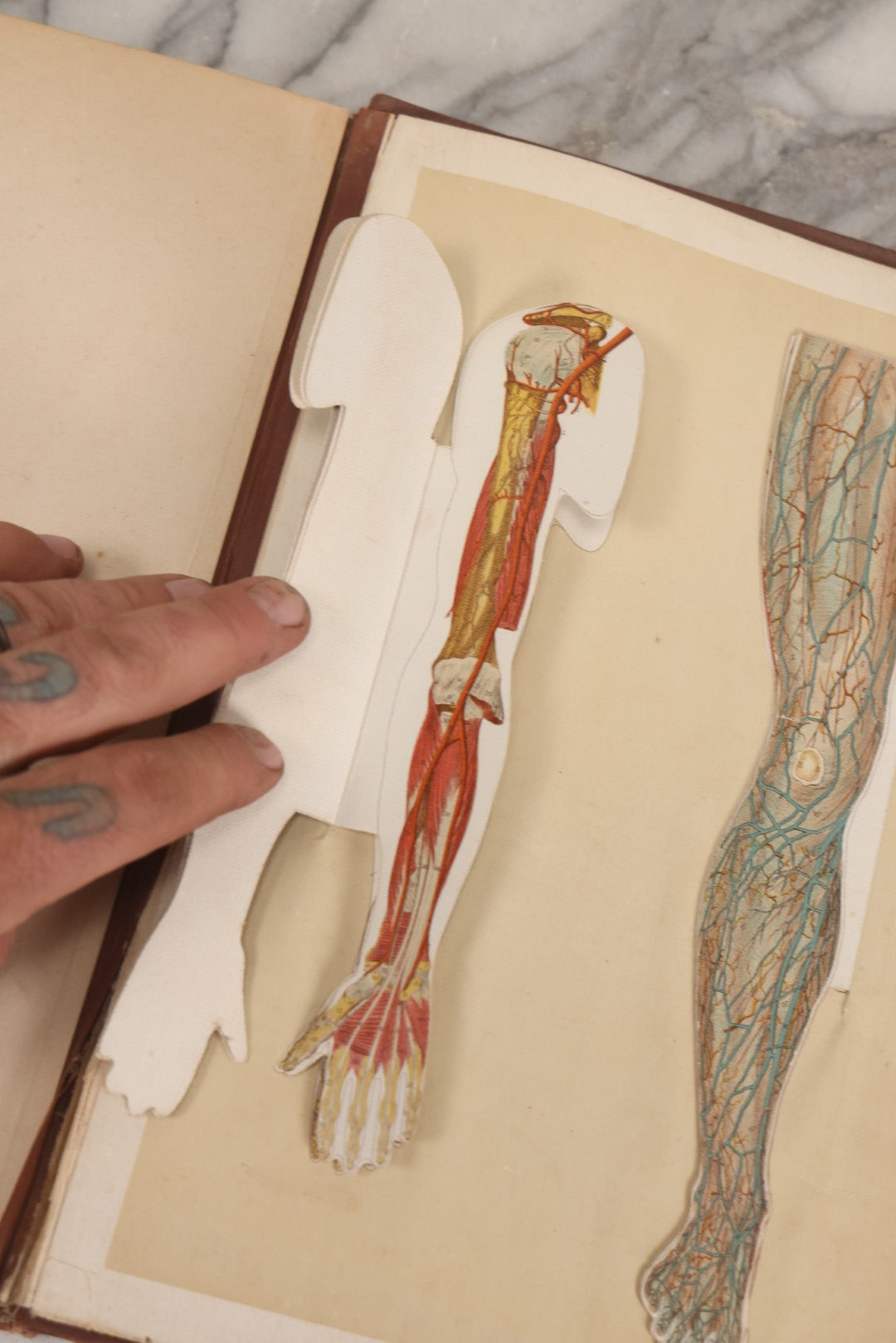 Lot 008 - "Portfolio Of Life; Or, A Popular Study Of The House In Which We Live" Antique Physiology Book By Prof. Henry H. Rassweiler, Illustrated With Anatomical Plates And Manikins, Published By Pacific Publishing Co.