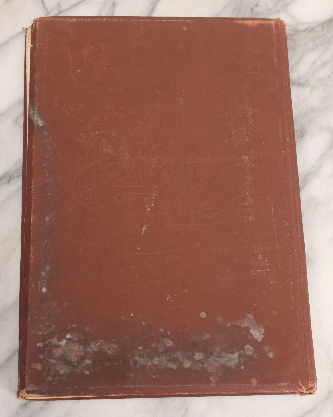 Lot 008 - "Portfolio Of Life; Or, A Popular Study Of The House In Which We Live" Antique Physiology Book By Prof. Henry H. Rassweiler, Illustrated With Anatomical Plates And Manikins, Published By Pacific Publishing Co.