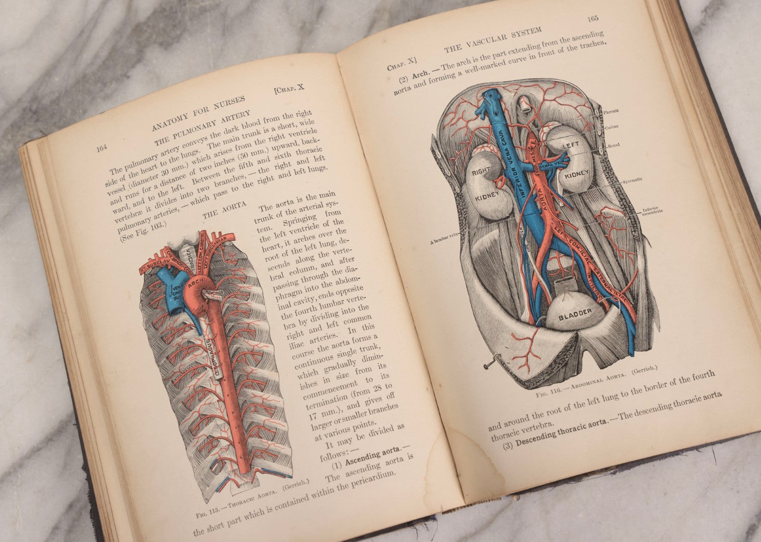 Lot 009 - "Text-Book Of Anatomy And Physiology For Nurses" Antique Medical Textbook By Diana Clifford Kimber, Illustrated, Third Edition Revised By Carolyn E. Gray, Published By The Macmillan Company, New York, 1912