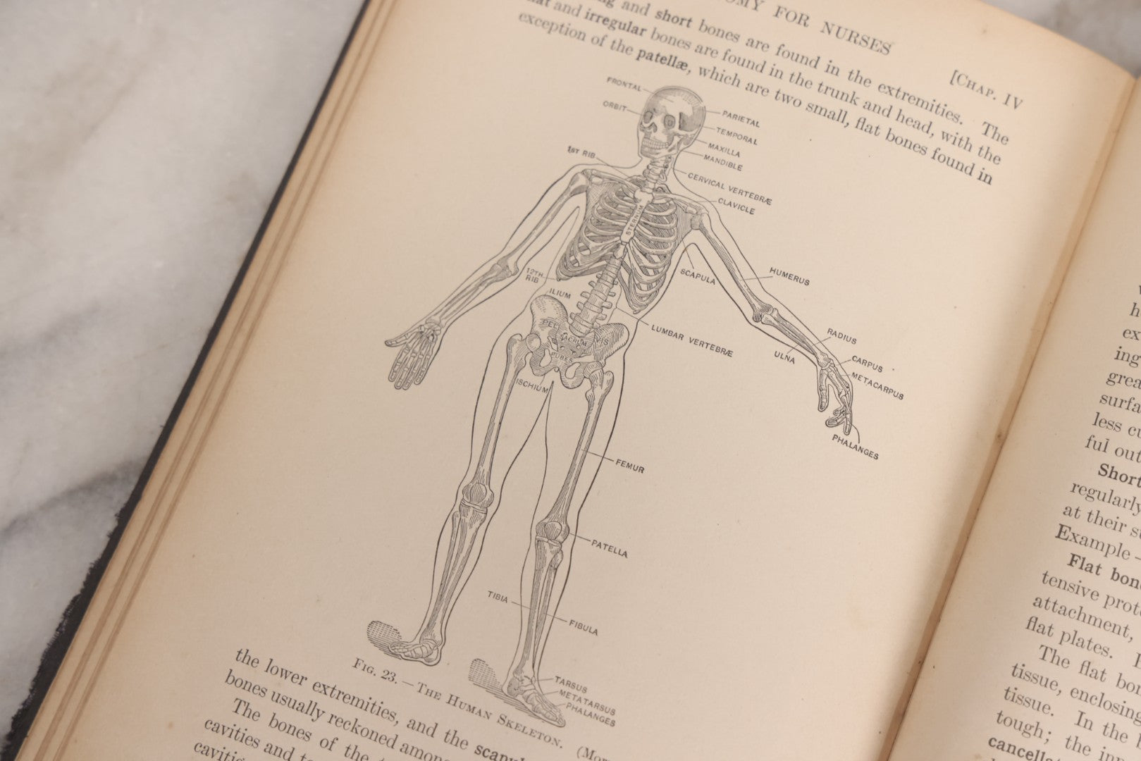 Lot 009 - "Text-Book Of Anatomy And Physiology For Nurses" Antique Medical Textbook By Diana Clifford Kimber, Illustrated, Third Edition Revised By Carolyn E. Gray, Published By The Macmillan Company, New York, 1912