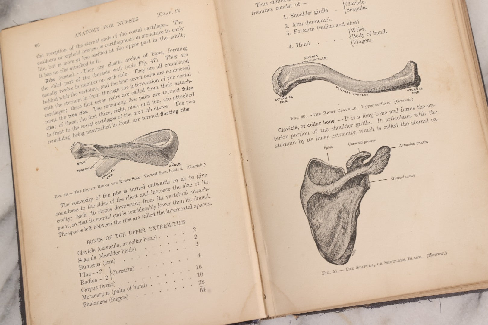 Lot 009 - "Text-Book Of Anatomy And Physiology For Nurses" Antique Medical Textbook By Diana Clifford Kimber, Illustrated, Third Edition Revised By Carolyn E. Gray, Published By The Macmillan Company, New York, 1912