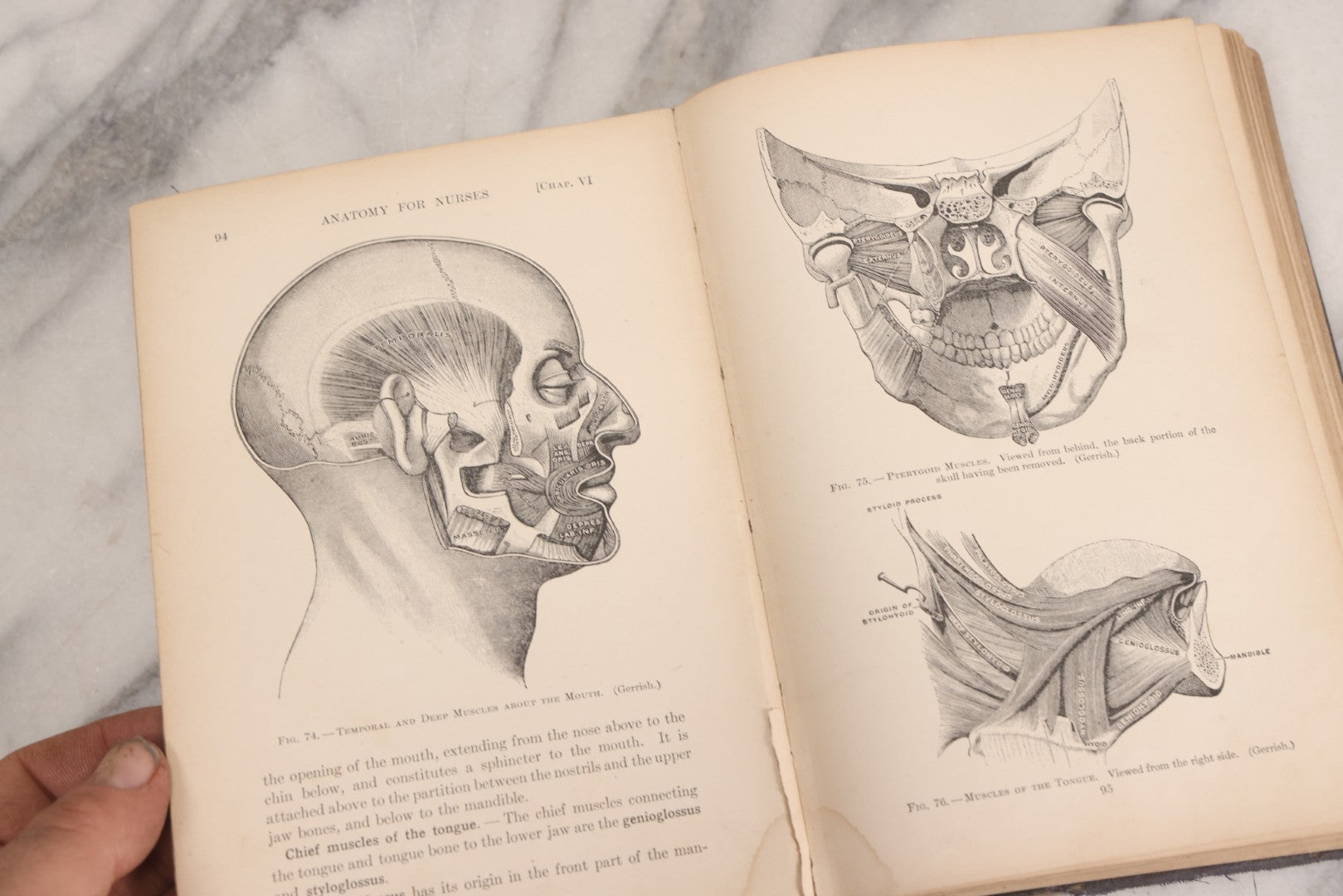 Lot 009 - "Text-Book Of Anatomy And Physiology For Nurses" Antique Medical Textbook By Diana Clifford Kimber, Illustrated, Third Edition Revised By Carolyn E. Gray, Published By The Macmillan Company, New York, 1912