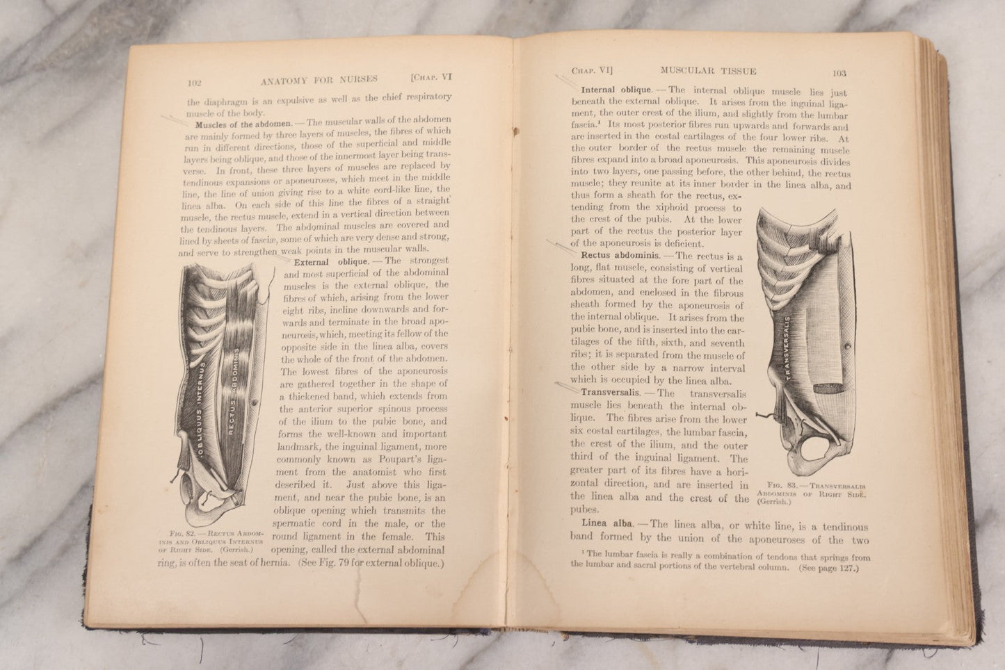 Lot 009 - "Text-Book Of Anatomy And Physiology For Nurses" Antique Medical Textbook By Diana Clifford Kimber, Illustrated, Third Edition Revised By Carolyn E. Gray, Published By The Macmillan Company, New York, 1912