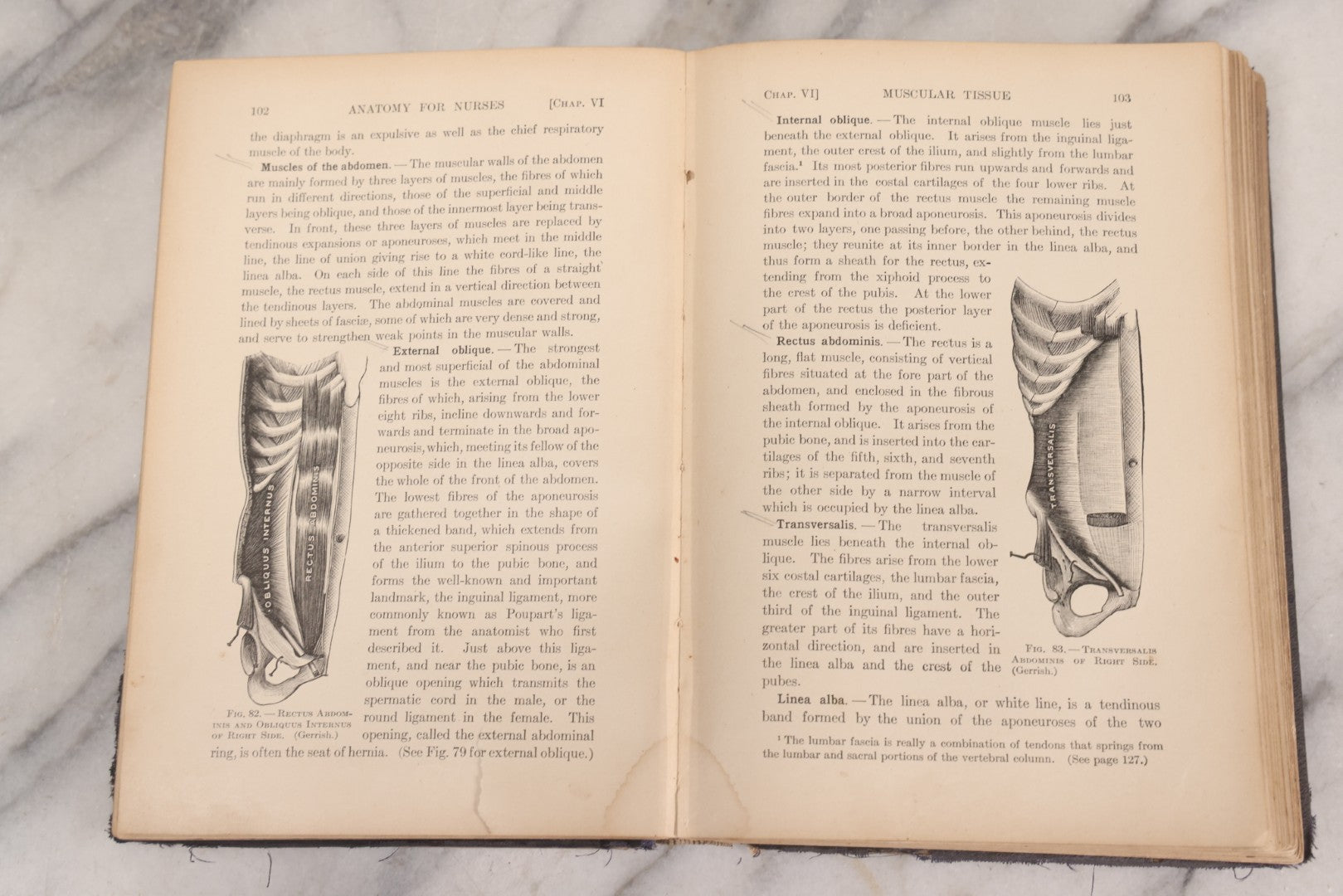 Lot 009 - "Text-Book Of Anatomy And Physiology For Nurses" Antique Medical Textbook By Diana Clifford Kimber, Illustrated, Third Edition Revised By Carolyn E. Gray, Published By The Macmillan Company, New York, 1912