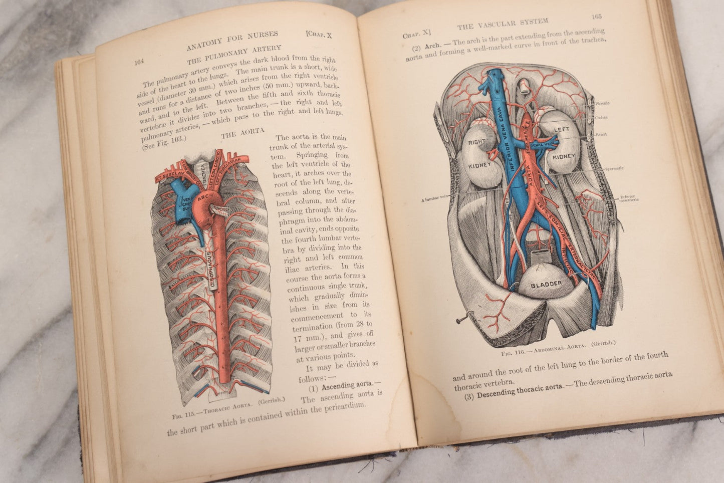 Lot 009 - "Text-Book Of Anatomy And Physiology For Nurses" Antique Medical Textbook By Diana Clifford Kimber, Illustrated, Third Edition Revised By Carolyn E. Gray, Published By The Macmillan Company, New York, 1912
