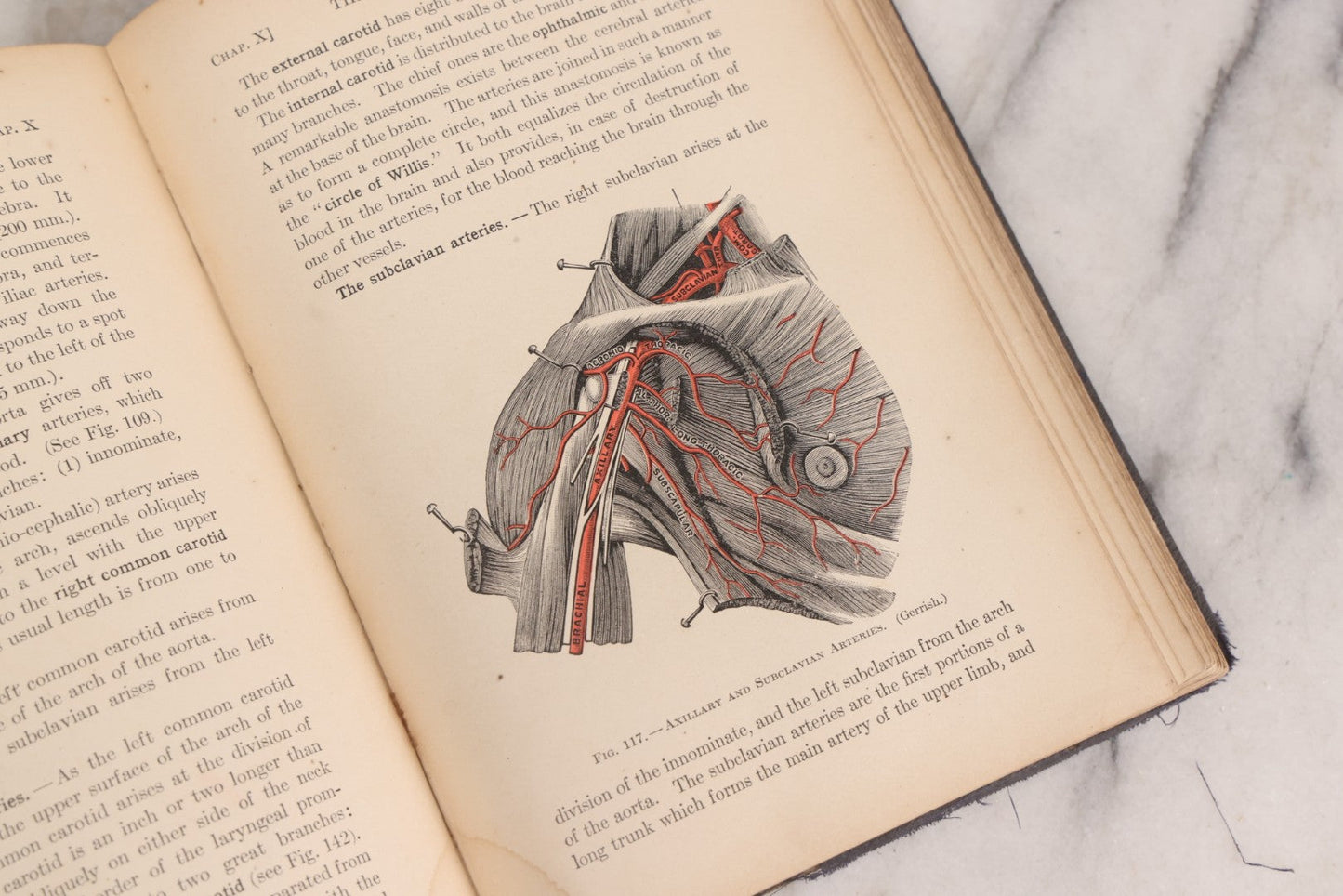 Lot 009 - "Text-Book Of Anatomy And Physiology For Nurses" Antique Medical Textbook By Diana Clifford Kimber, Illustrated, Third Edition Revised By Carolyn E. Gray, Published By The Macmillan Company, New York, 1912