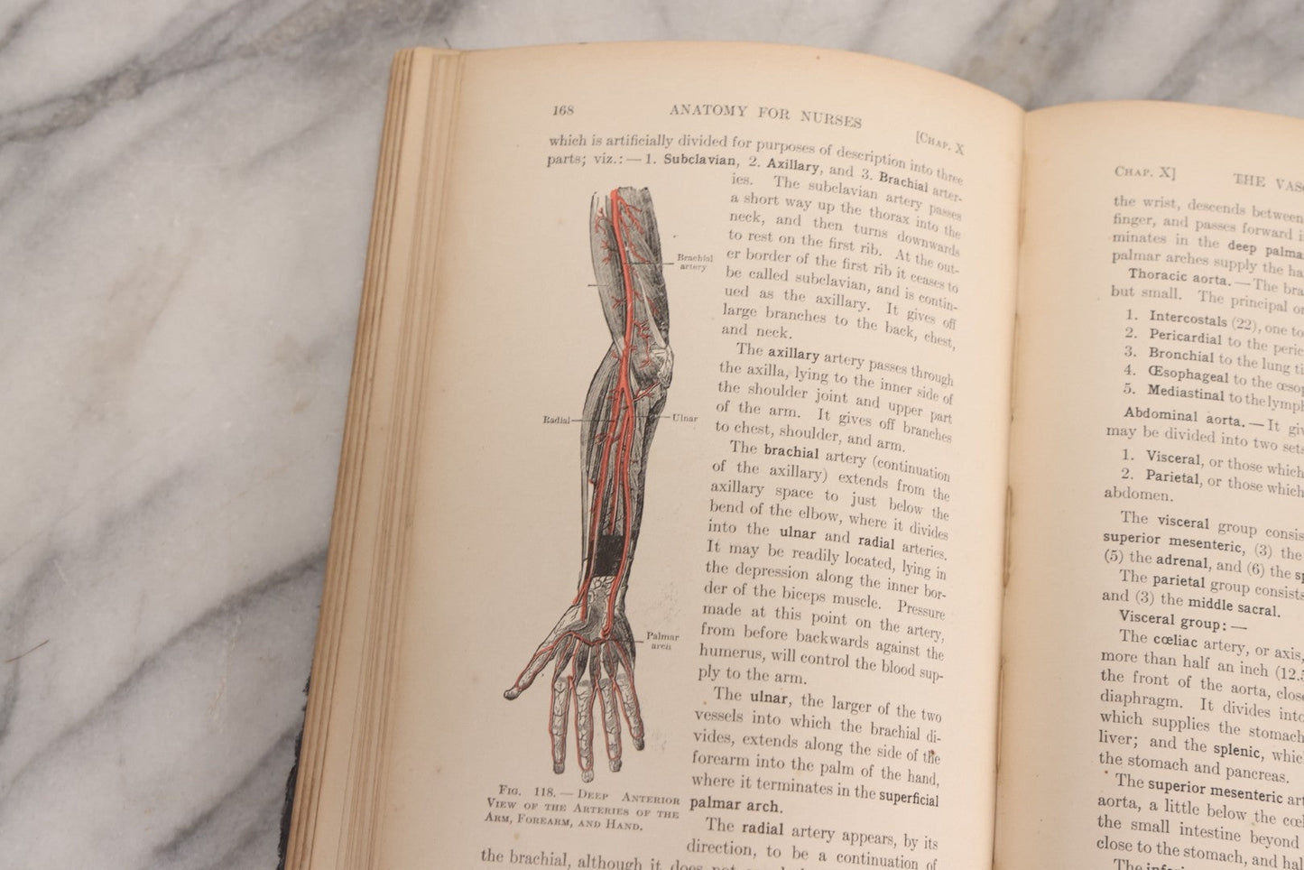 Lot 009 - "Text-Book Of Anatomy And Physiology For Nurses" Antique Medical Textbook By Diana Clifford Kimber, Illustrated, Third Edition Revised By Carolyn E. Gray, Published By The Macmillan Company, New York, 1912
