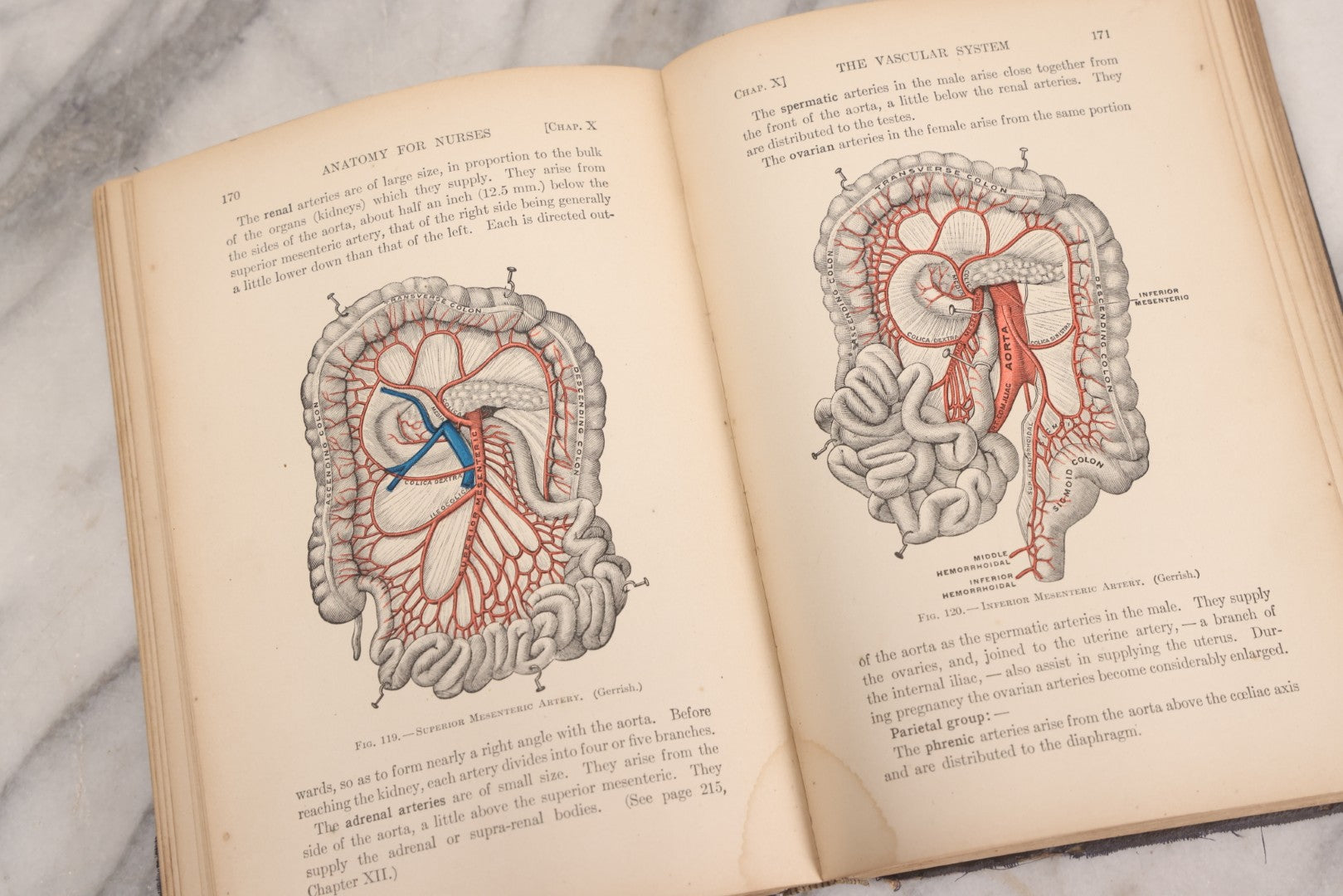 Lot 009 - "Text-Book Of Anatomy And Physiology For Nurses" Antique Medical Textbook By Diana Clifford Kimber, Illustrated, Third Edition Revised By Carolyn E. Gray, Published By The Macmillan Company, New York, 1912