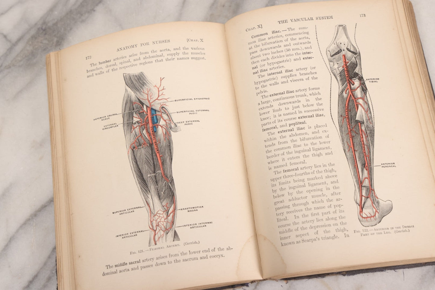 Lot 009 - "Text-Book Of Anatomy And Physiology For Nurses" Antique Medical Textbook By Diana Clifford Kimber, Illustrated, Third Edition Revised By Carolyn E. Gray, Published By The Macmillan Company, New York, 1912