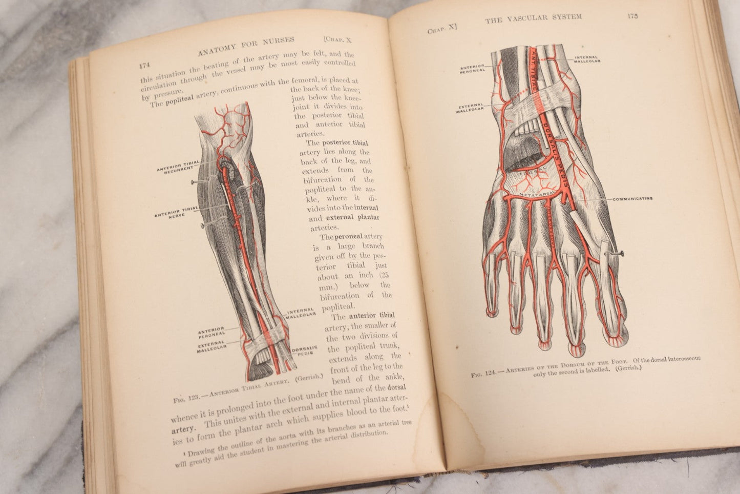 Lot 009 - "Text-Book Of Anatomy And Physiology For Nurses" Antique Medical Textbook By Diana Clifford Kimber, Illustrated, Third Edition Revised By Carolyn E. Gray, Published By The Macmillan Company, New York, 1912