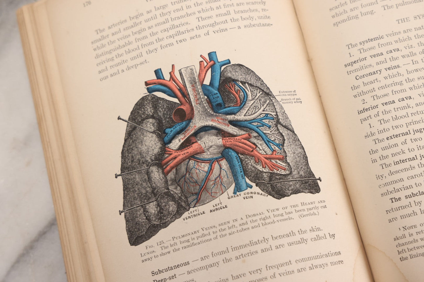 Lot 009 - "Text-Book Of Anatomy And Physiology For Nurses" Antique Medical Textbook By Diana Clifford Kimber, Illustrated, Third Edition Revised By Carolyn E. Gray, Published By The Macmillan Company, New York, 1912