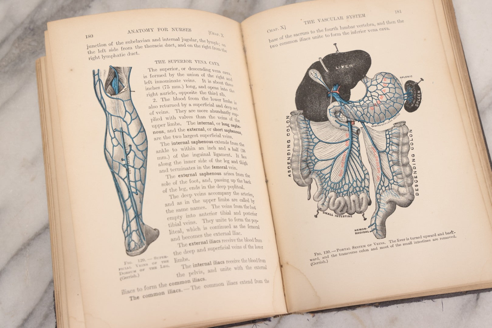 Lot 009 - "Text-Book Of Anatomy And Physiology For Nurses" Antique Medical Textbook By Diana Clifford Kimber, Illustrated, Third Edition Revised By Carolyn E. Gray, Published By The Macmillan Company, New York, 1912