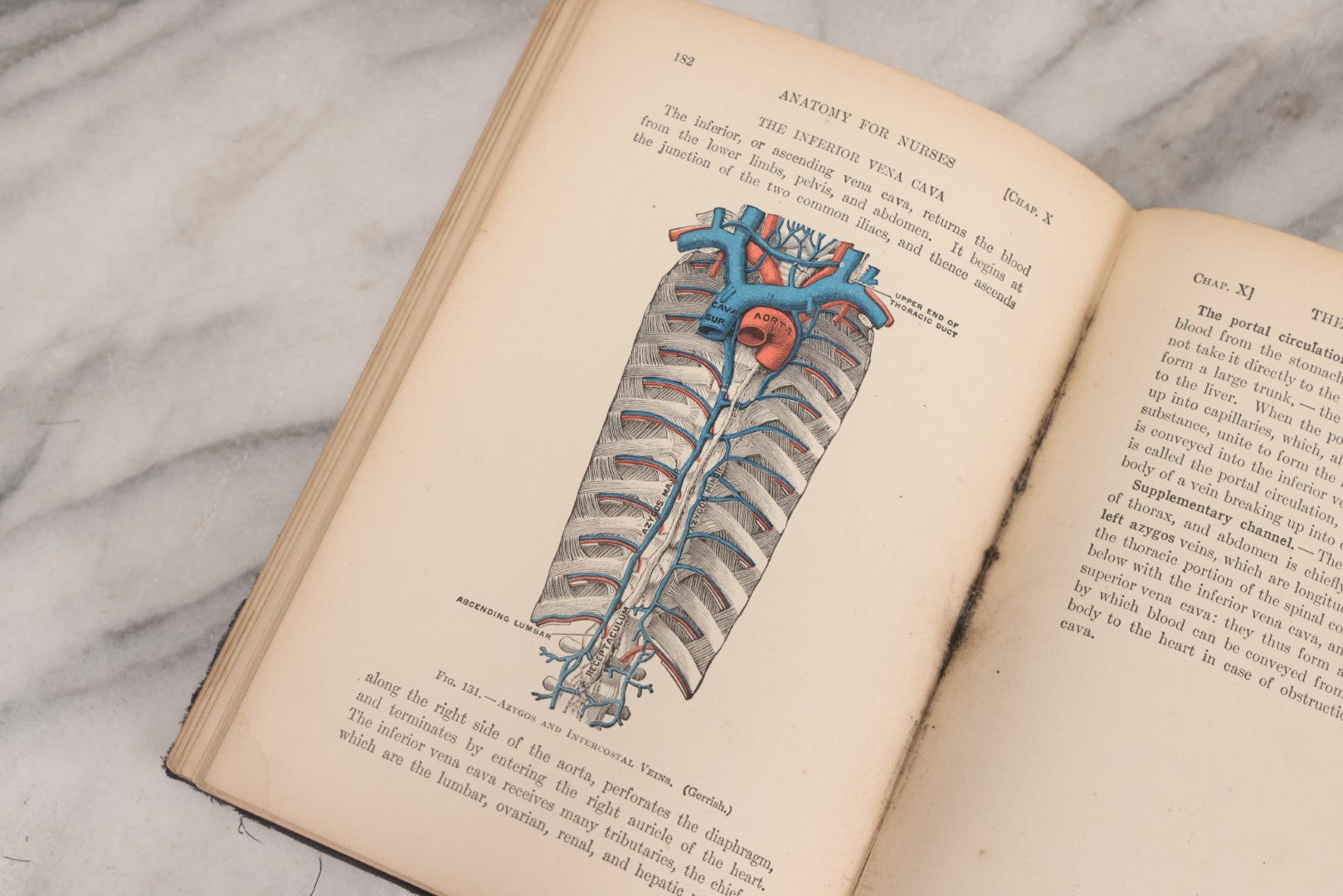 Lot 009 - "Text-Book Of Anatomy And Physiology For Nurses" Antique Medical Textbook By Diana Clifford Kimber, Illustrated, Third Edition Revised By Carolyn E. Gray, Published By The Macmillan Company, New York, 1912