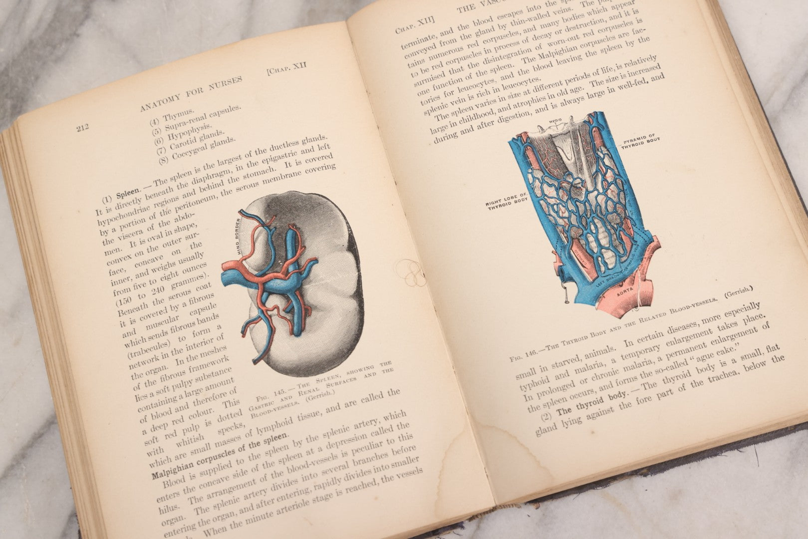 Lot 009 - "Text-Book Of Anatomy And Physiology For Nurses" Antique Medical Textbook By Diana Clifford Kimber, Illustrated, Third Edition Revised By Carolyn E. Gray, Published By The Macmillan Company, New York, 1912