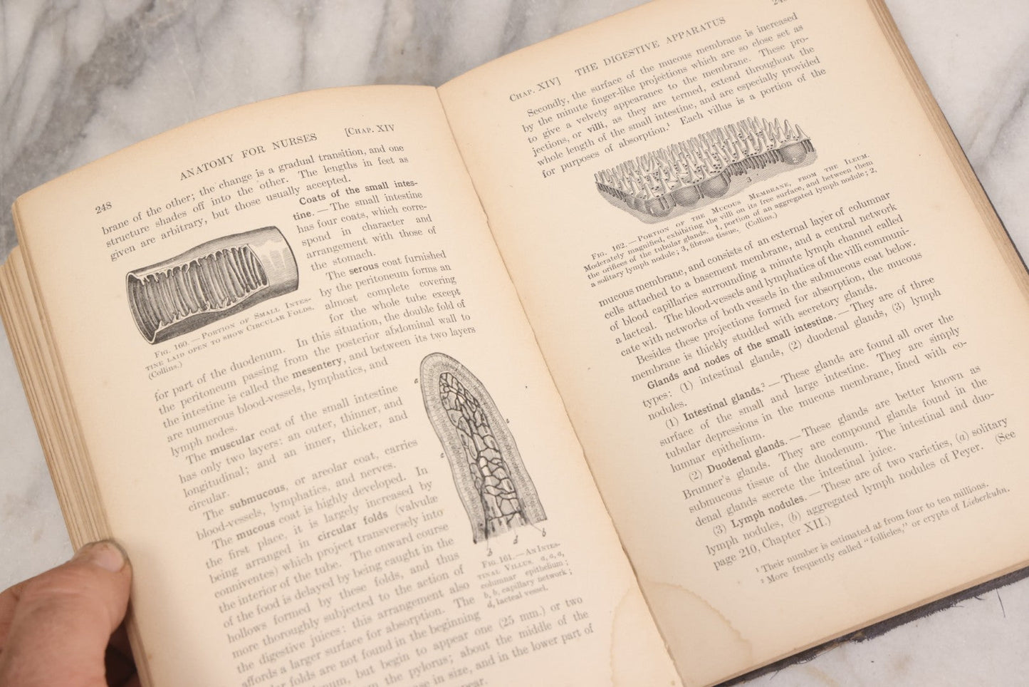 Lot 009 - "Text-Book Of Anatomy And Physiology For Nurses" Antique Medical Textbook By Diana Clifford Kimber, Illustrated, Third Edition Revised By Carolyn E. Gray, Published By The Macmillan Company, New York, 1912