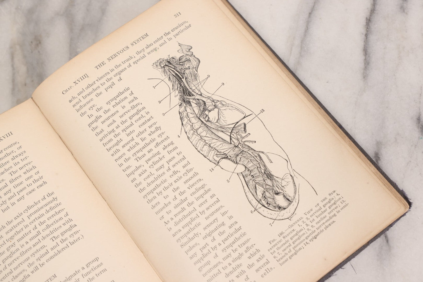 Lot 009 - "Text-Book Of Anatomy And Physiology For Nurses" Antique Medical Textbook By Diana Clifford Kimber, Illustrated, Third Edition Revised By Carolyn E. Gray, Published By The Macmillan Company, New York, 1912