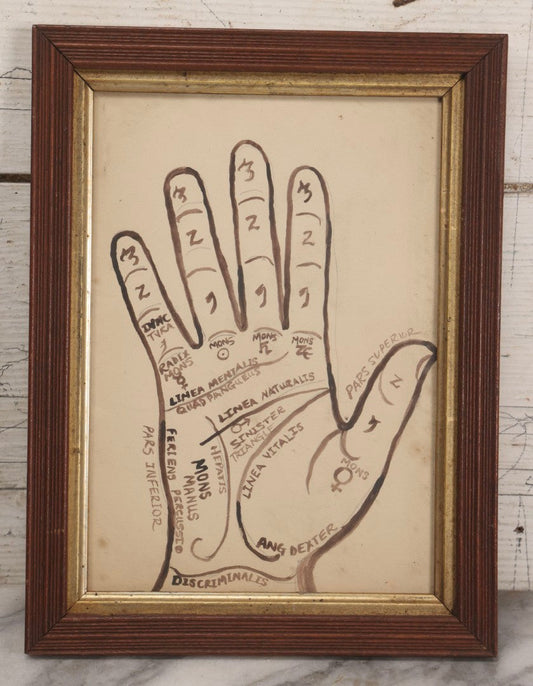 Lot 021 - Antique Palmistry Watercolor Diagram With Latin Annotations, Hand-Painted, In Antique Frame