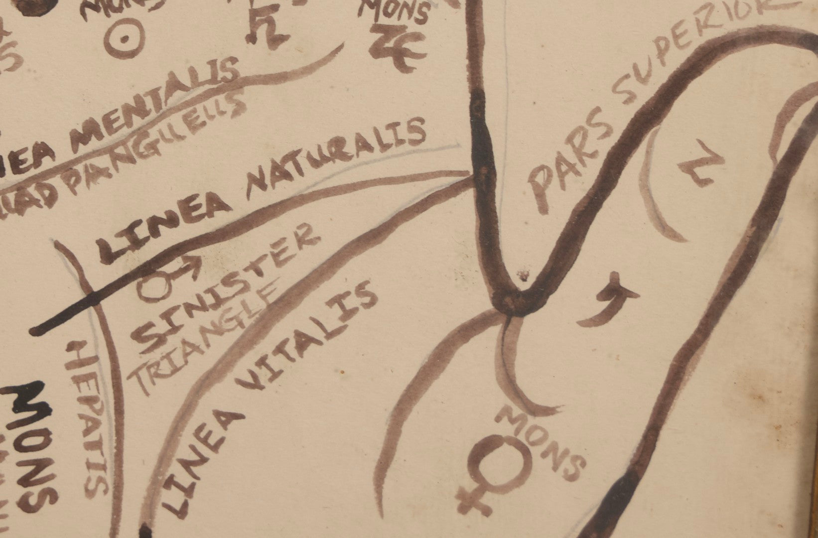 Lot 021 - Antique Palmistry Watercolor Diagram With Latin Annotations, Hand-Painted, In Antique Frame