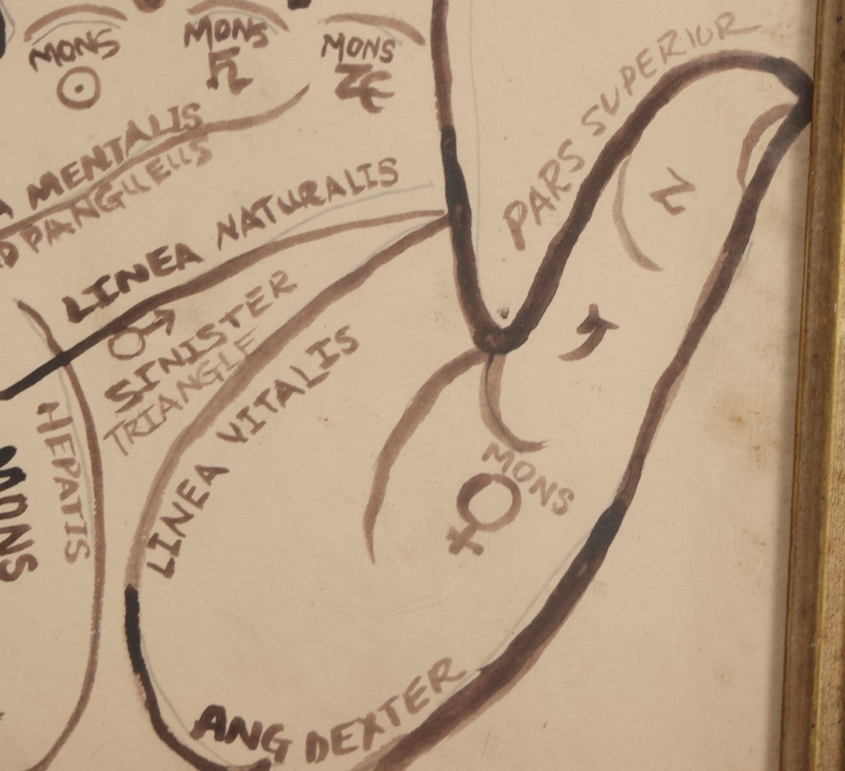Lot 021 - Antique Palmistry Watercolor Diagram With Latin Annotations, Hand-Painted, In Antique Frame