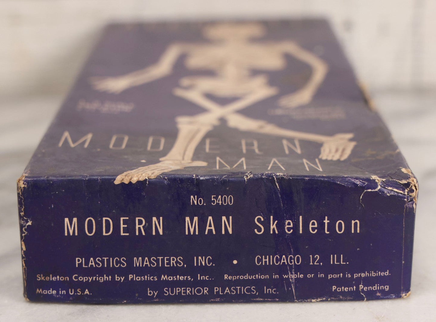 Lot 027 - Vintage “Accurate Modern Man Skeleton” Cardboard Display Box With Skeleton Graphics, Plastics Masters Inc., Chicago