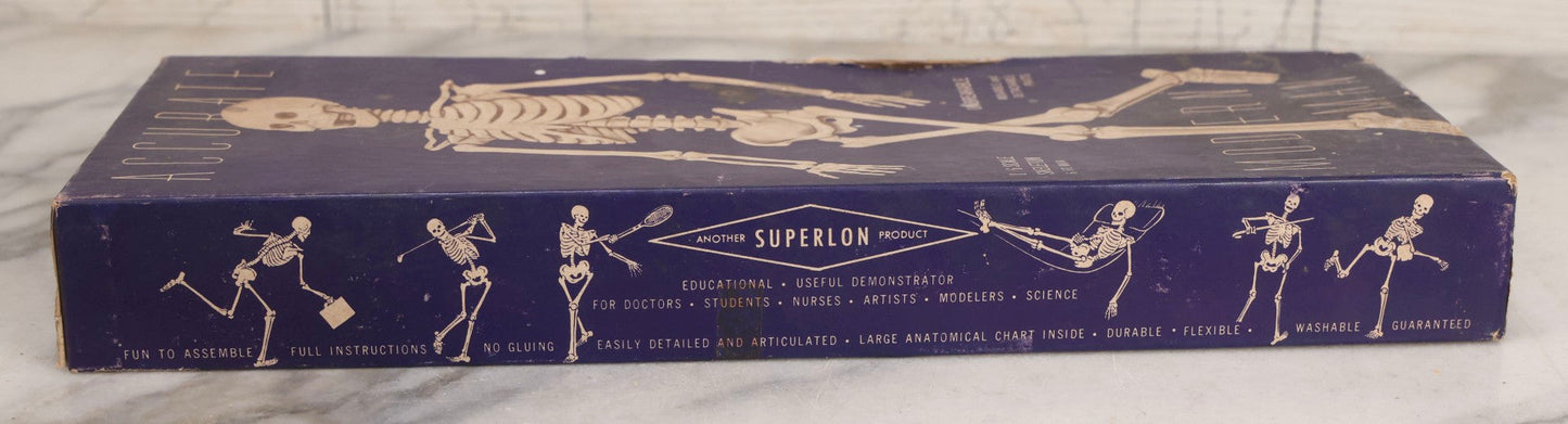 Lot 027 - Vintage “Accurate Modern Man Skeleton” Cardboard Display Box With Skeleton Graphics, Plastics Masters Inc., Chicago