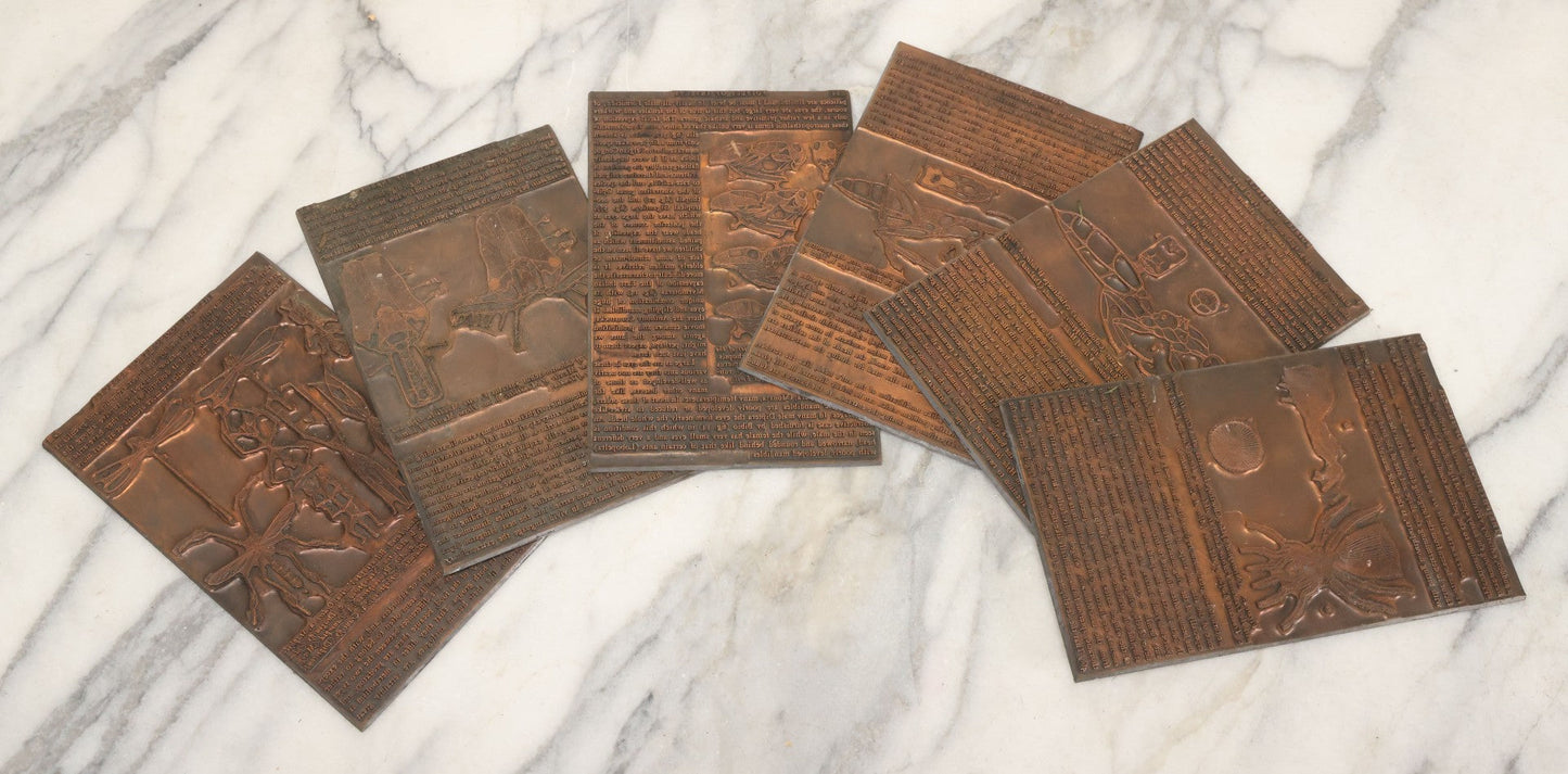 Lot 031 - Grouping Of Six Vintage Copper Printing Plates From "Foibles Of Insects And Men" By William Morton Wheeler, Published By Alfred A. Knopf, New York, 1928