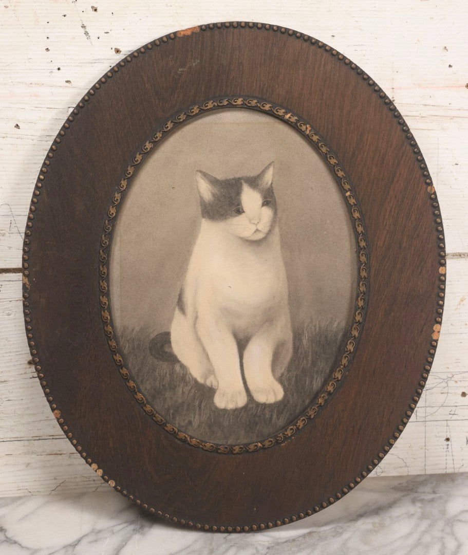 Lot 056 - Antique Oval Charcoal Portrait Of Cat In Wooden Frame, Late 19th / Early 20th Century